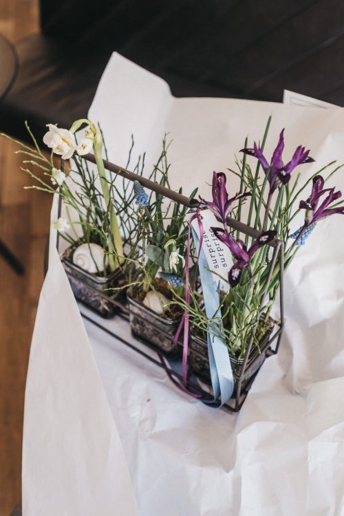 Frühlingsbox Medium Pflanzen