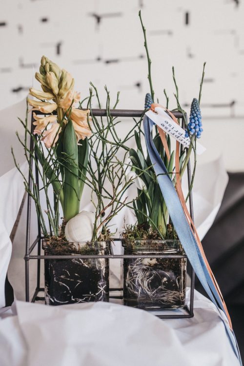 Frühlingsbox Small Pflanzen